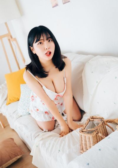梦想成为魔法少女动画免费