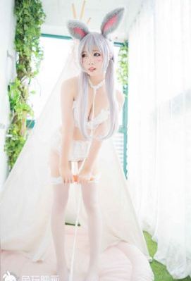 律师精英