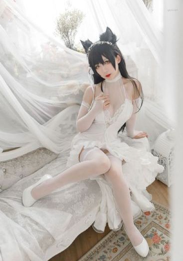 冷月寒秋电视剧免费观看