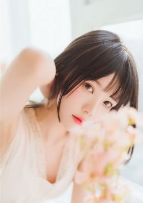 藏海花全集免费观看高清完整版