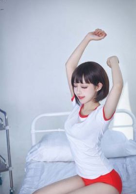 探索者的羽翼的动漫