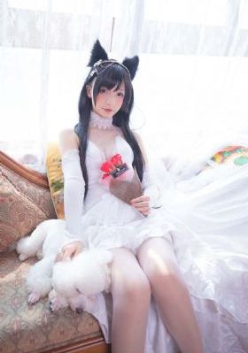 女人的战争在线观看